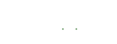Vis